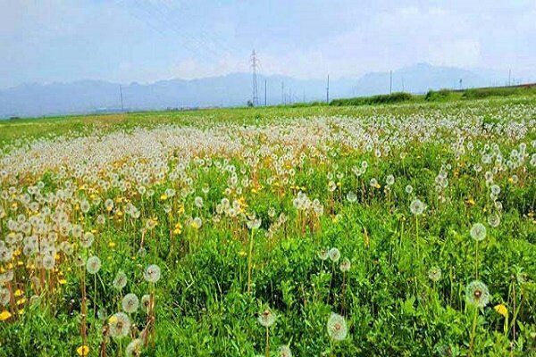 Zerger köyü: İran'ın kalbinde bir Avrupa köyü