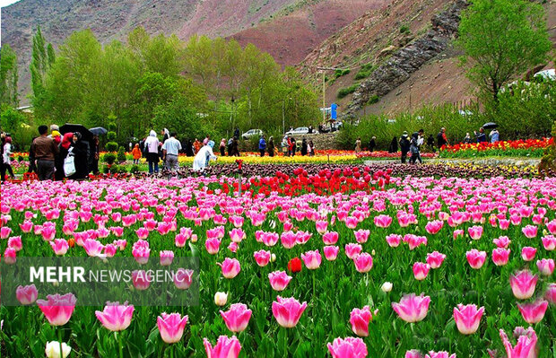 سفر به محلات؛ سرزمین گلها و گنجینههای تاریخی و طبیعی