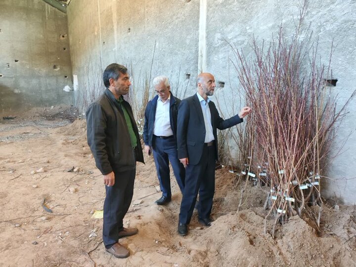 سطح تولیدات کشاورزی لرستان امسال مطلوب خواهد بود سطح تولیدات کشاورزی لرستان امسال مطلوب خواهد بود