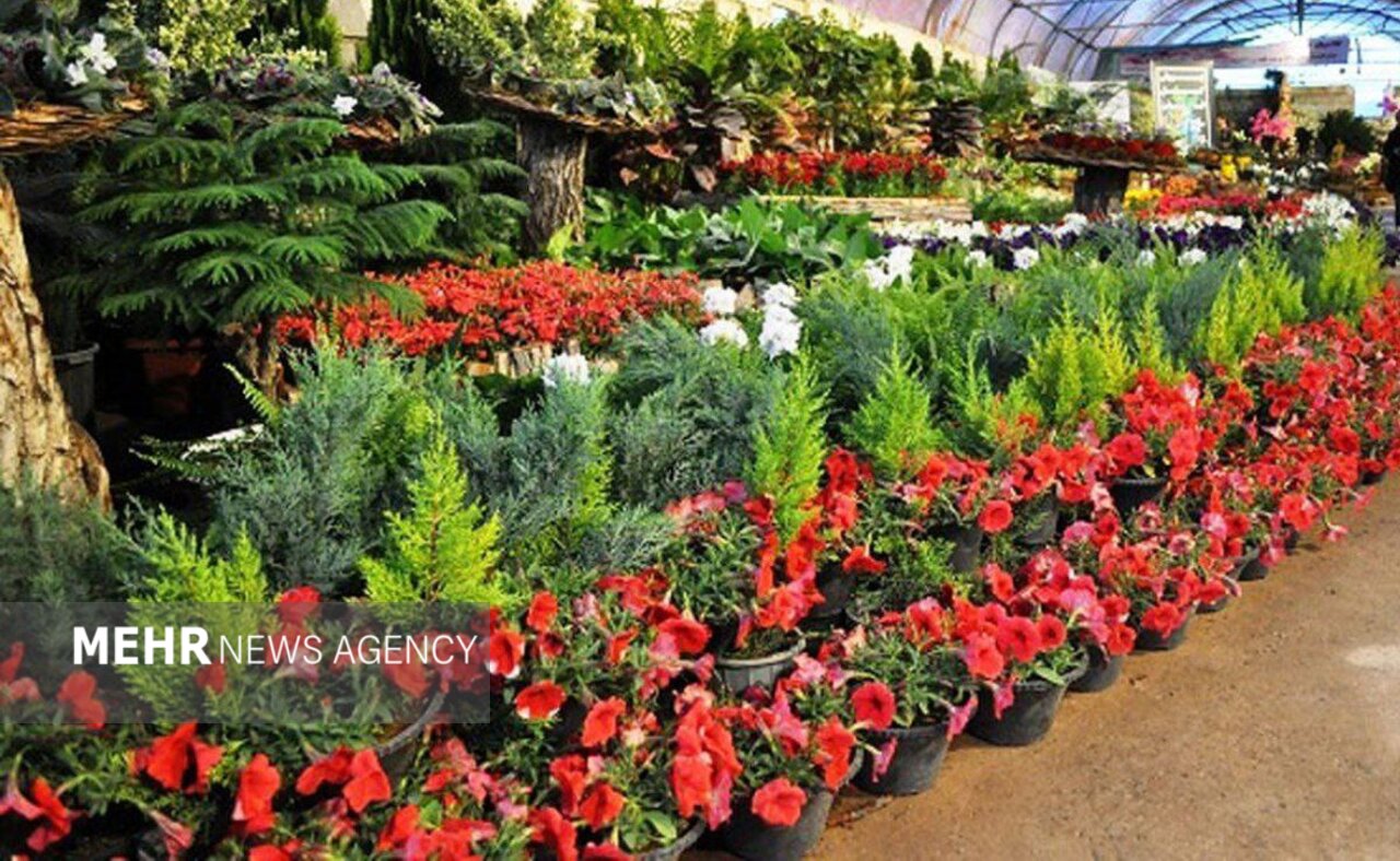 سفر به محلات؛ سرزمین گلها و گنجینههای تاریخی و طبیعی