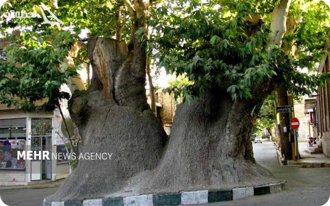 سفر به محلات؛ سرزمین گلها و گنجینههای تاریخی و طبیعی