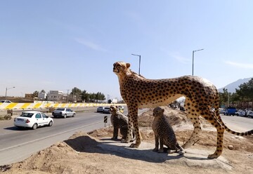 روزهای پرتردد سفر و مراقبت از یوزپلنگ در قلب کریدور عباس‌آباد - میامی