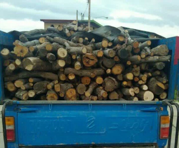 کشف یک تن چوب قاچاق در کمیجان