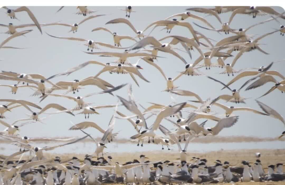 گردشگری در دیر؛ از فرصتهای بزرگ تا مدیریتهای کوچک