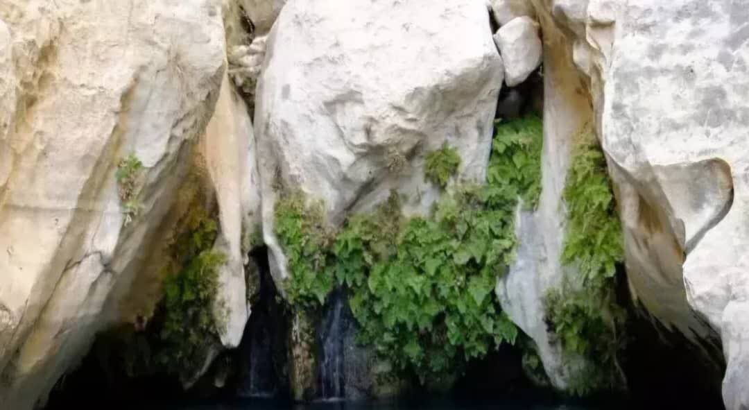 گردشگری در دیر؛ از فرصتهای بزرگ تا مدیریتهای کوچک