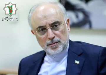 شعب استانی بنیاد ایران شناسی راه اندازی می‌شود