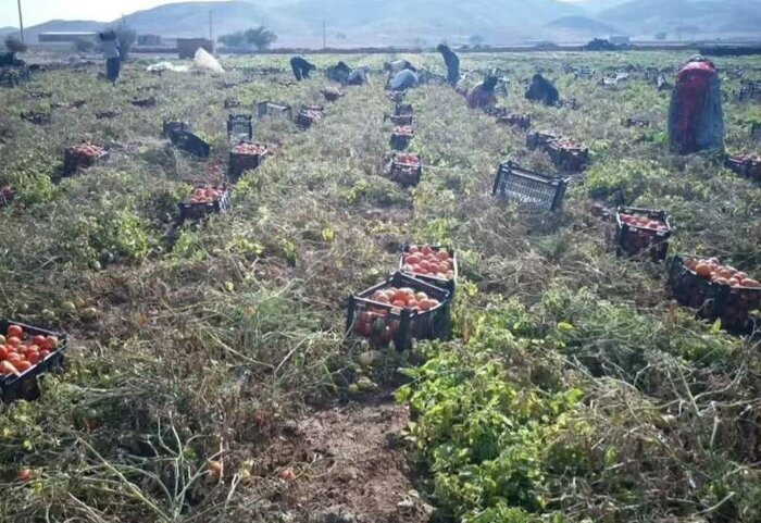 کام تشنه ۳۵۰ هکتار زمین دهدشت در انتظار ماده ۲۳ سد کوهبرد