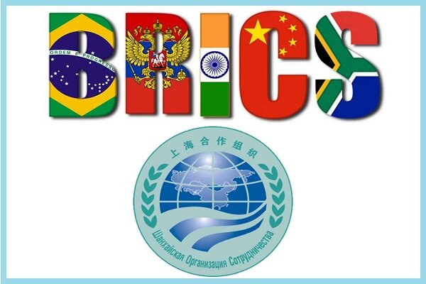 آفریقای جنوبی ۵۰۰ میلیون دلار در بخش کشاورزی سرمایهگذاری کرد