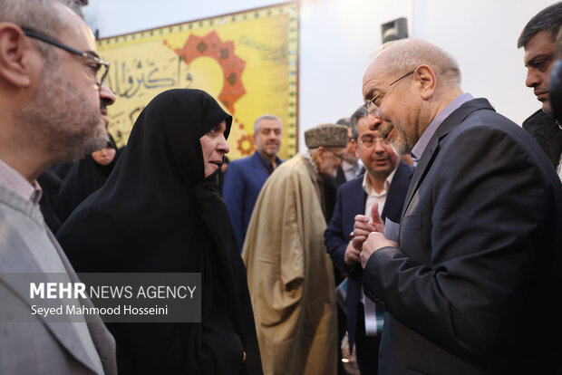 نشست جمعی از بانوان حوزوی و تشکلهای خواهران با رئیس مجلس شورای اسلامی 33