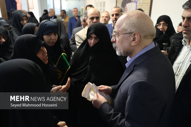 نشست جمعی از بانوان حوزوی و تشکلهای خواهران با رئیس مجلس شورای اسلامی 29