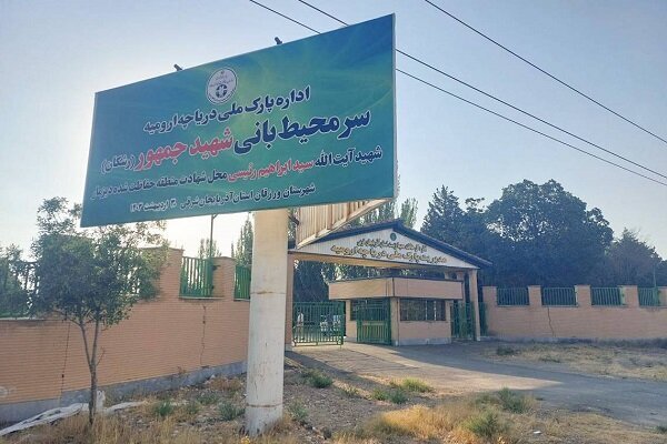 از مرگ پیرترین ببر سیبری ایران تا فداکاری محیطبان سیاهکلی 3