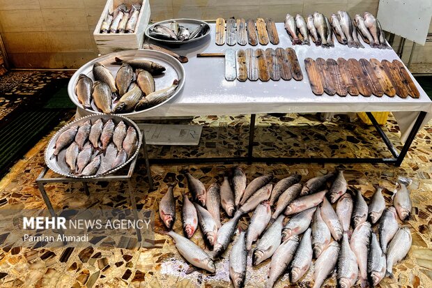 بازارچه عرضه محصولات شیلاتی در شوشتر راهاندازی میشود بازارچه عرضه محصولات شیلاتی در شوشتر راهاندازی میشود