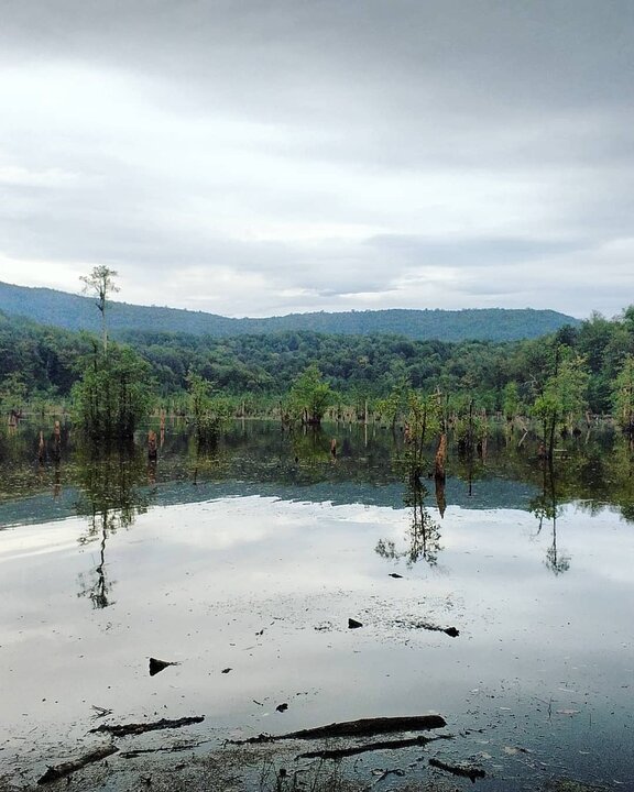 «نوشهر»؛ از تجربه آمازون تا موزهای که فقط ایام نوروز باز است