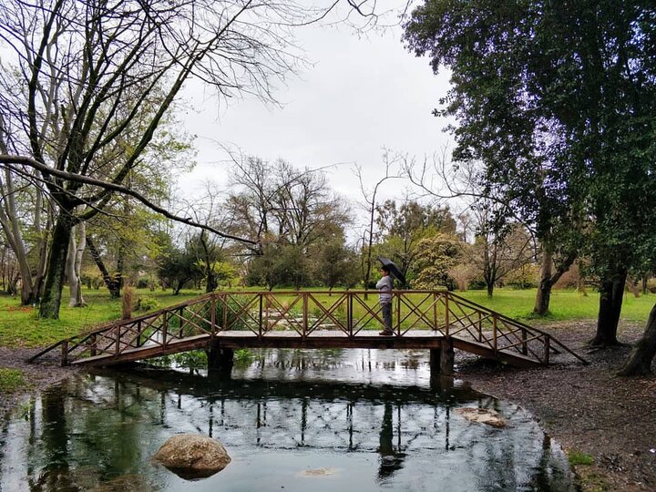 «نوشهر»؛ از تجربه آمازون تا موزهای که فقط ایام نوروز باز است