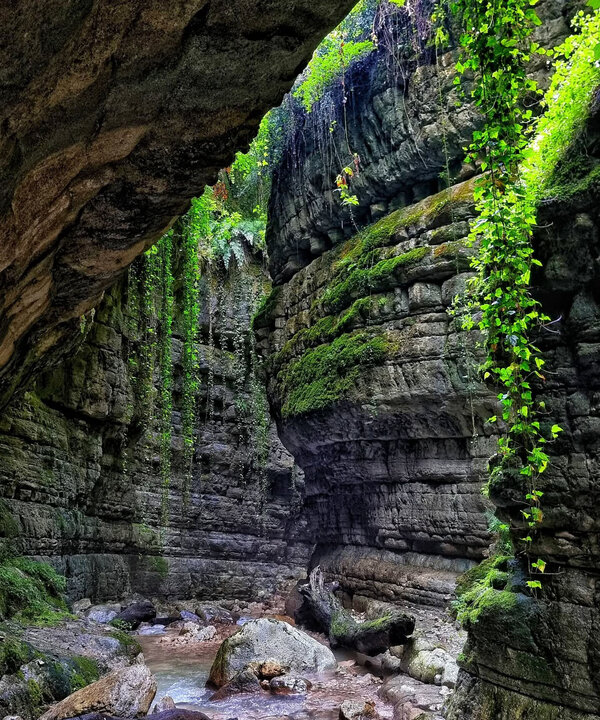 «نوشهر»؛ از تجربه آمازون تا موزهای که فقط ایام نوروز باز است