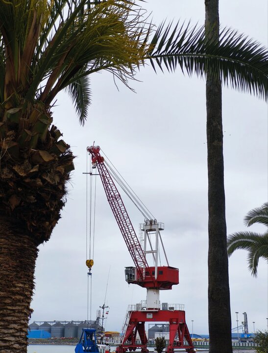 «نوشهر»؛ از تجربه آمازون تا موزهای که فقط ایام نوروز باز است