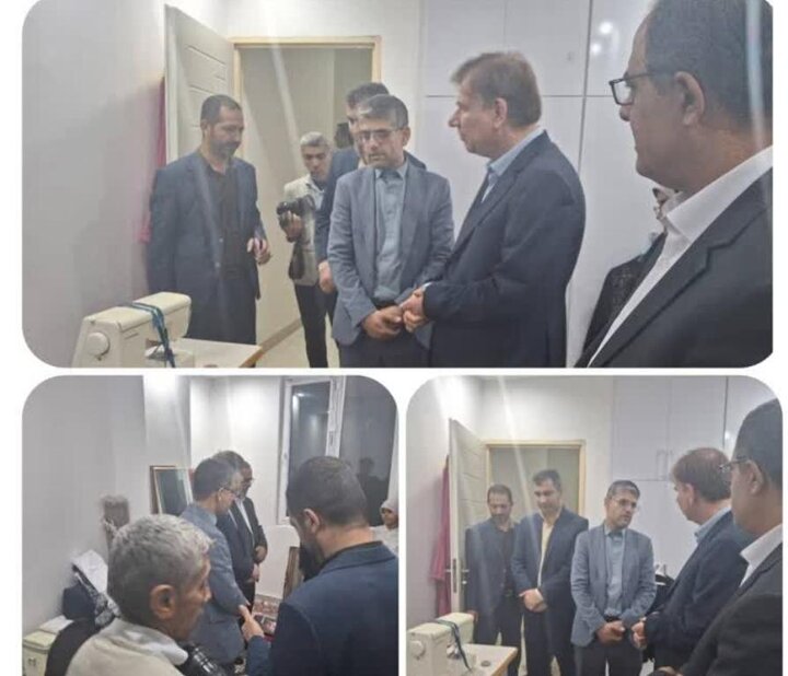طرح مشاغل خانگی زنان سرپرست خانوار در بوشهر بررسی شد