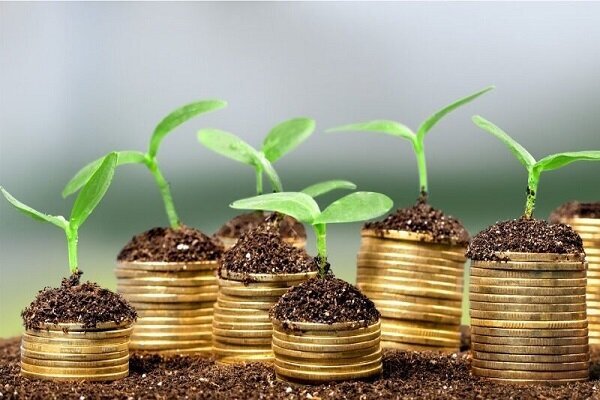 از جزئیات بیمه حیاتوحش تا مصدومیت محیطبان لرستانی