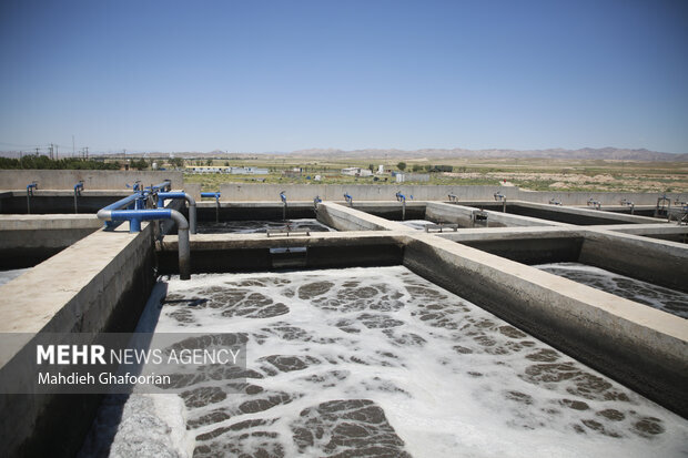 از جزئیات بیمه حیاتوحش تا مصدومیت محیطبان لرستانی