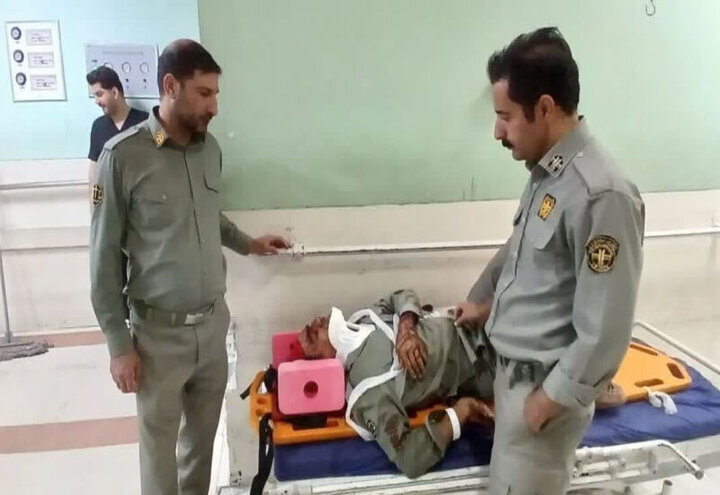 از جزئیات بیمه حیاتوحش تا مصدومیت محیطبان لرستانی