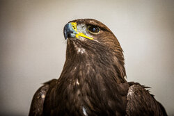 باغ پرندگان تهران