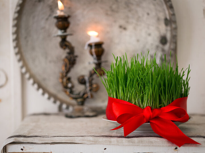 سیزده بدر فرصت هم نفسی با طبیعت؛در حفظ سرمایه های طبیعی کوشا باشیم