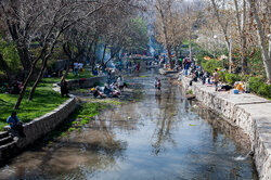 آماده‌سازی ۳۷ بوستان مشهد برای «روز طبیعت»