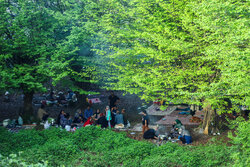 Iranians embrace beauty of spring on 'Sizdah Bedar'