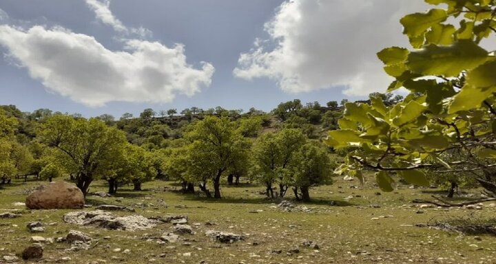 مردان بیادعای زاگرس؛ روایتی از جانفشانی در سایه کمبودها!