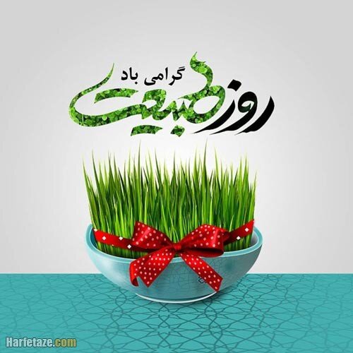 سیزدهبدر و مسئولیت ما در قبال زمین؛ شادی بدون تخریب