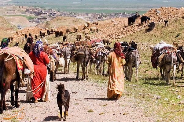 İran aşiretleri: Kaşkaylar