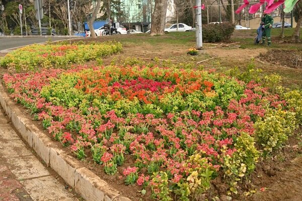 کاشت بیش از ۱۳ هزار گل فصلی در شمال تهران