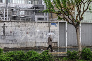 هواشناسی ایران امروز ۱۵ خرداد؛ رگبار و رعدوبرق در اکثر نقاط کشور
