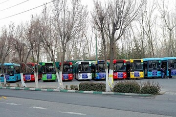 سبک‌سازی درختان پایتخت در دستور کار است