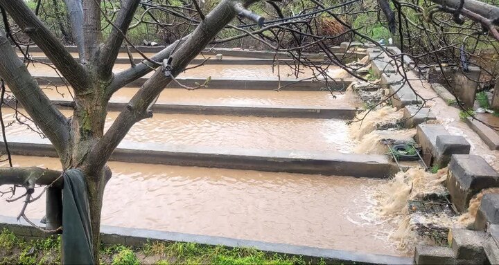 بررسی خسارات به استخرهای پرورش ماهی لرستان