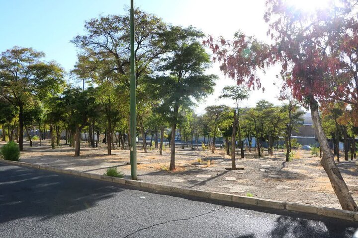 قبرستان قدیمی دهخدا تعیین تکلیف شد