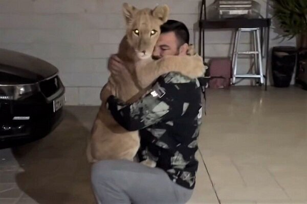 از دستگیری ۱۲ شکارچی متخلف در تهران تا بهبود شرایط معیشتی محیطبانان