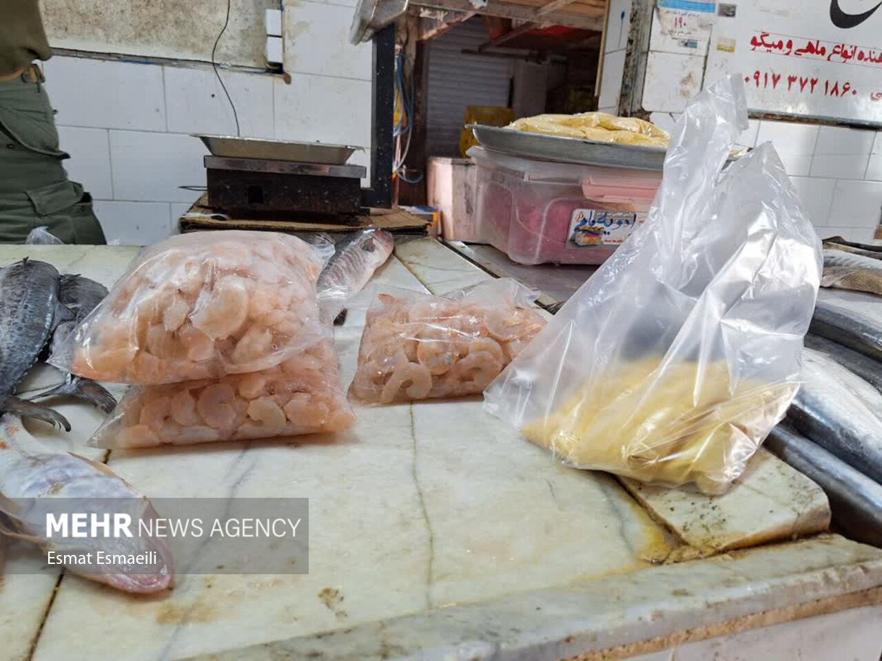 بازار ماهی فروشان گناوه جاذبهای برای گردشگران