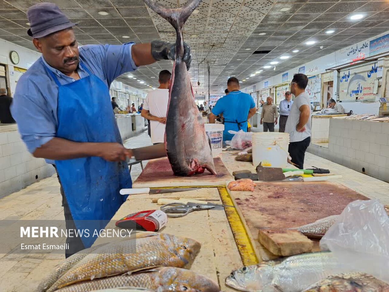 بازار ماهی فروشان گناوه جاذبهای برای گردشگران