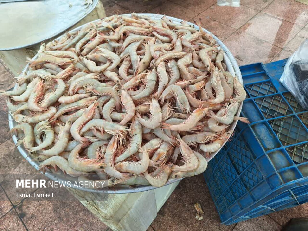بازار ماهی فروشان گناوه جاذبهای برای گردشگران