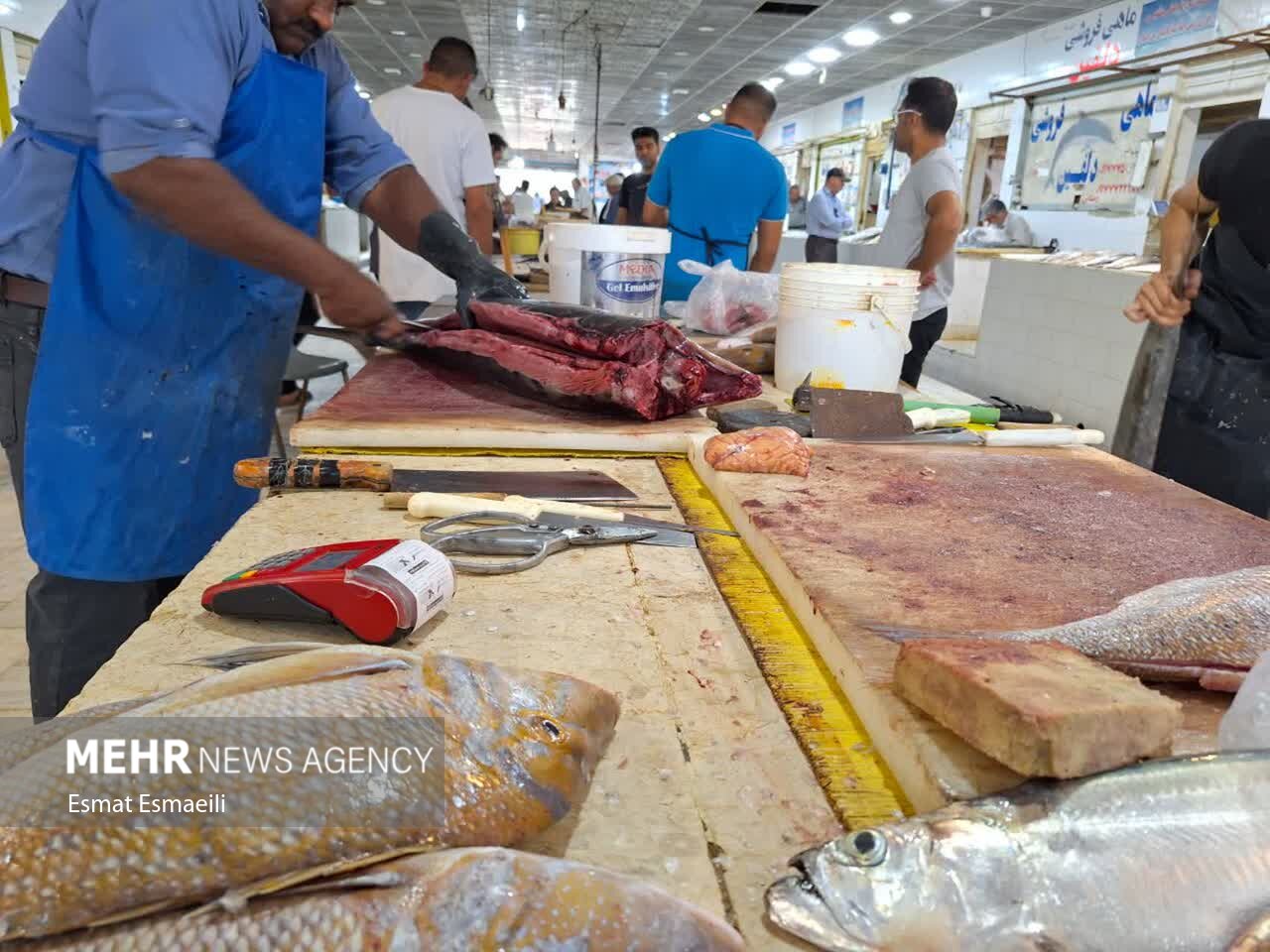 بازار ماهی فروشان گناوه جاذبهای برای گردشگران