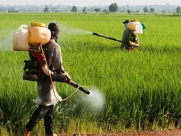 مبارزه با آفات عمومی از اولویت‌های حوزه کشاورزی کردستان است