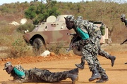 Mali, Burkina Faso and Niger recall envoys from Algeria
