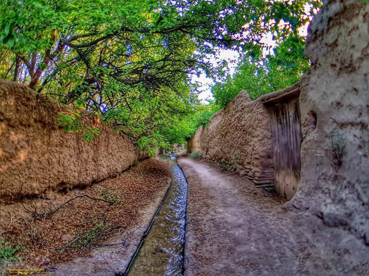 کوچه باغهای بهاری روستاهای ورین از توابع شهرستان محلات