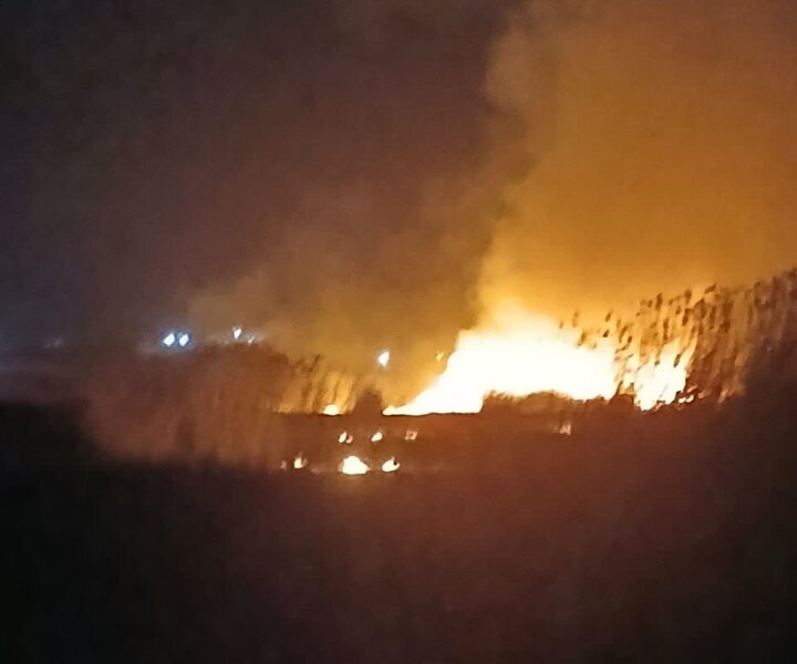 مهار آتش سوزی نیزارهای تالاب هفت برم شیراز