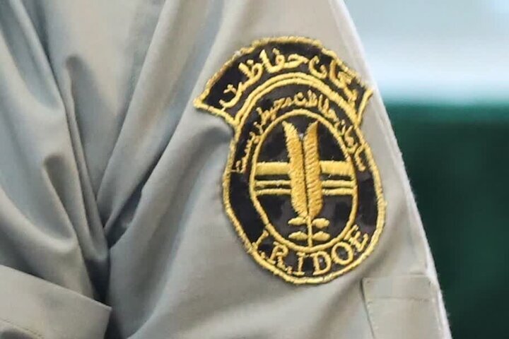 از احکام ضامن حفاظت از محیط زیست تا پایداری شرایط «دلبر»