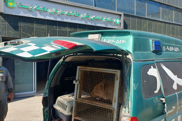 از احکام ضامن حفاظت از محیط زیست تا پایداری شرایط «دلبر»