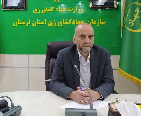 تعیین تکلیف ۸پلاک به مساحت ۱۹ هزار هکتار در کمیسیون رفع تداخلات لرستان