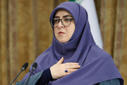 واکنش سخنگوی دولت به گرما؛ ترک محل سخنرانی