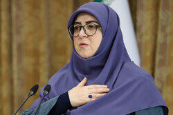 واکنش سخنگوی دولت به گرما؛ ترک محل سخنرانی